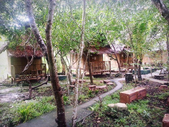 Albergue Bohol Coco Farm Panglao Exterior foto